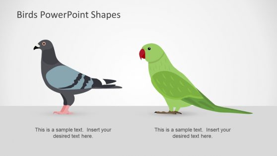 Pigeon and Green Parrot