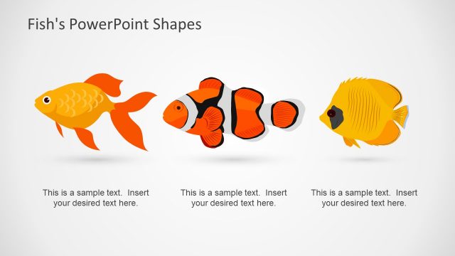 Small Colorful Fish Slide