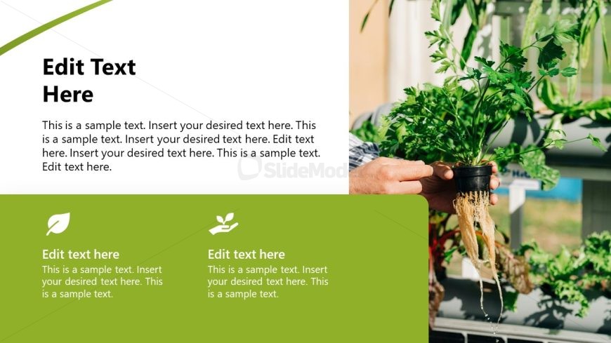 Slide with Graphical Icons Hydroponic Template