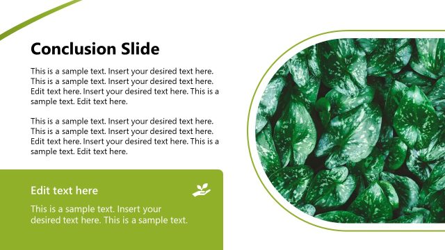 Conclusion Slide – Hydroponic Business Template