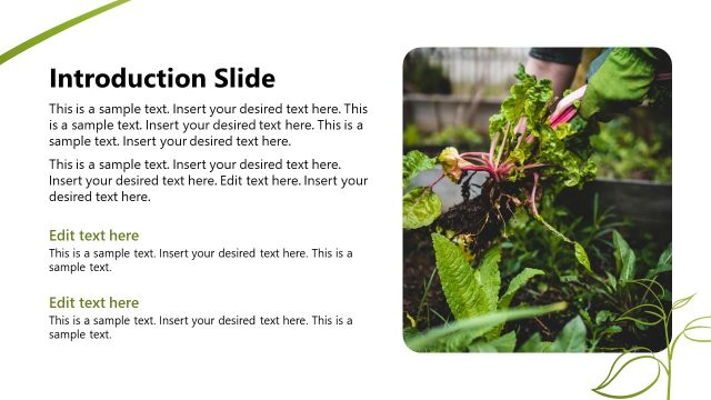 Introduction Slide – Hydroponic Business Template