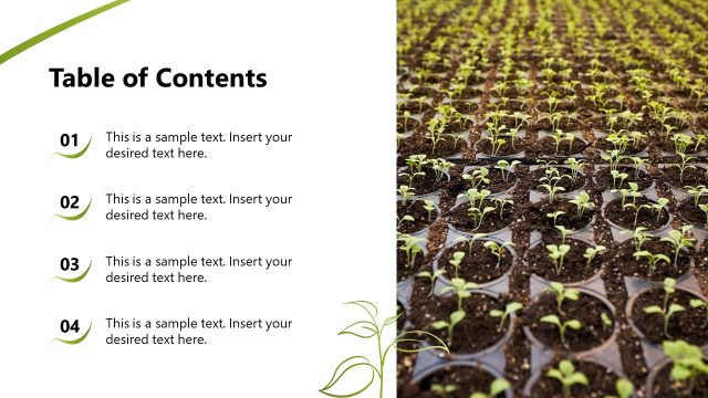 Table of Contents Slide – Hydroponic PPT Slide