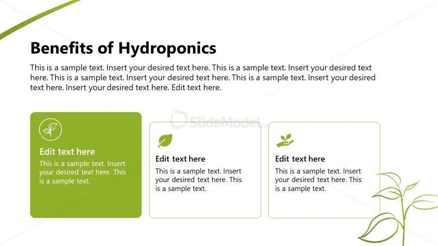 Hydroponic Business Slide for PowerPoint