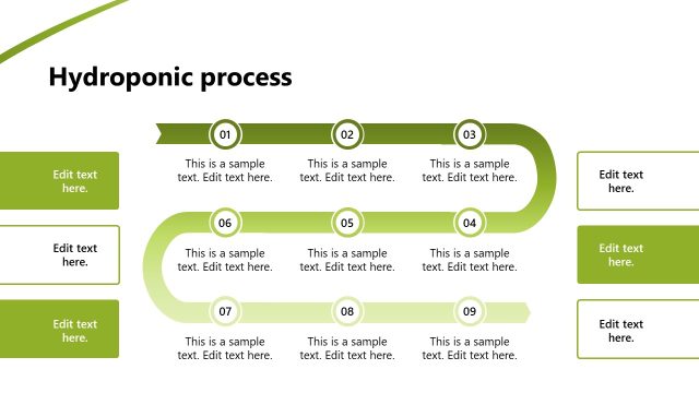 Hydroponic Process Diagram Slide