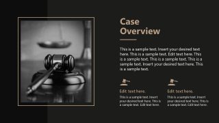 Law Case Template - Case Overview Slide