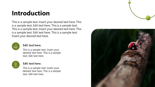 Introduction Slide – Environmental Impact Report Template