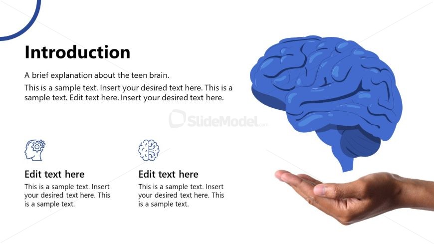 Editable Understanding the Teen Brain PPT Template