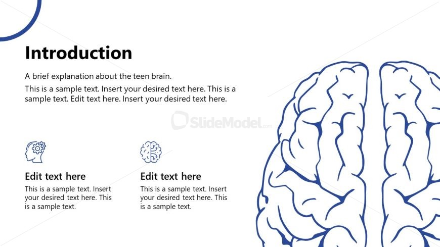 Customizable Understanding the Teen Brain Slide