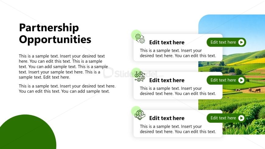 Partnership Opportunities Slide with Three Text Boxes