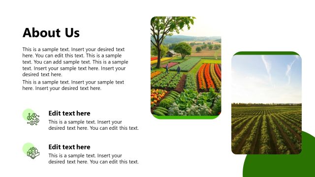 About Us Slide with Infographic Icons