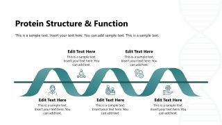 Biochemistry Template for Presentation 
