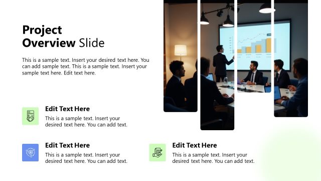 Project Overview Slide with Icons