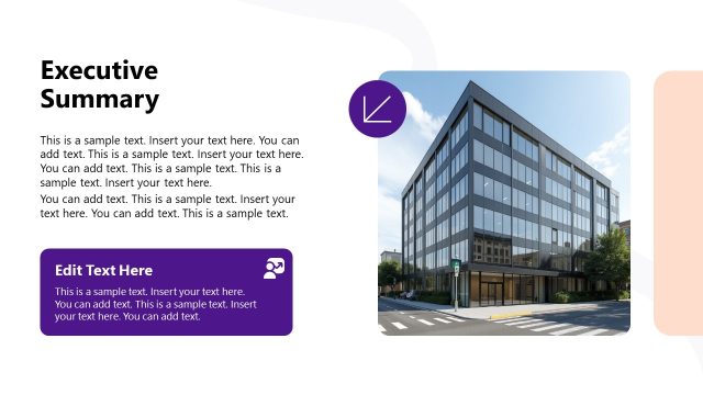 Executive Summary Slide Template