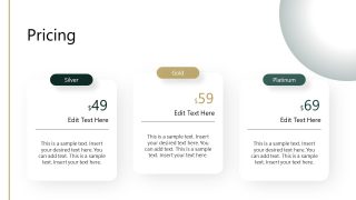 Data Consultancy Services Presentation Layout 