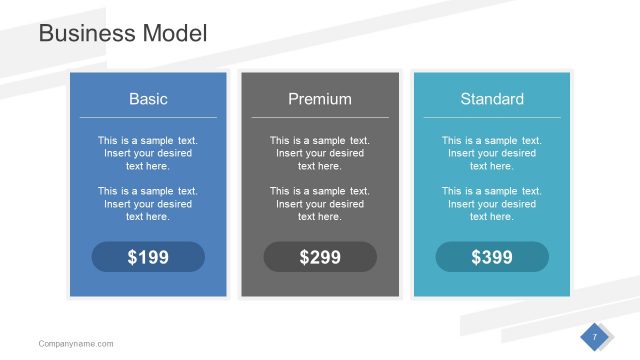 Business Model Professional Template