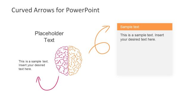 Curved Arrows Template Brain Shape