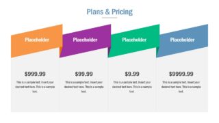 Slide for Pricing Options for Customers