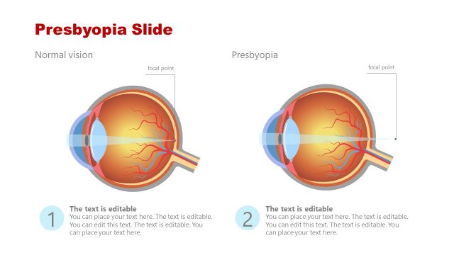 Eye Anatomy Vision Template