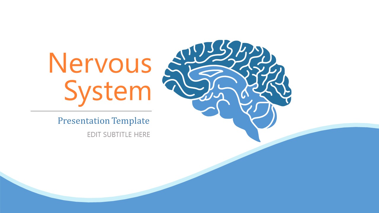 Nervous System PowerPoint Template - SlideModel