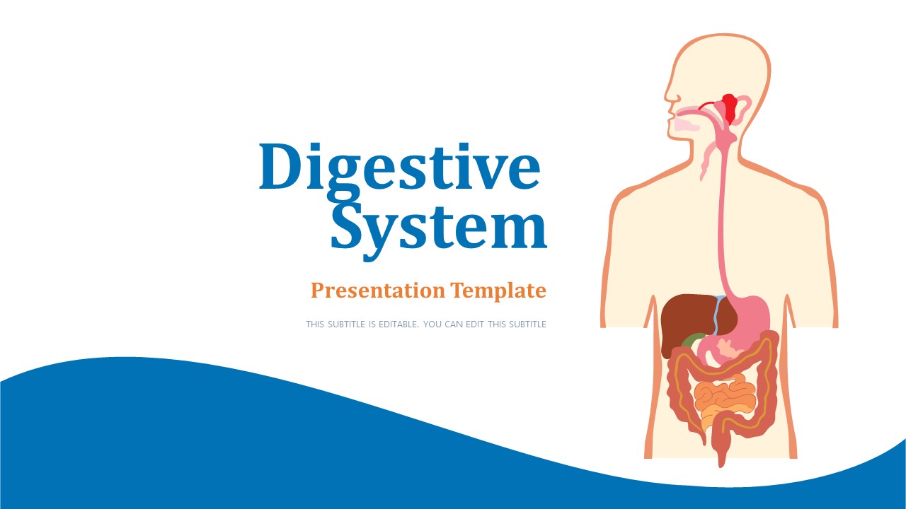Digestive System PowerPoint Template - SlideModel