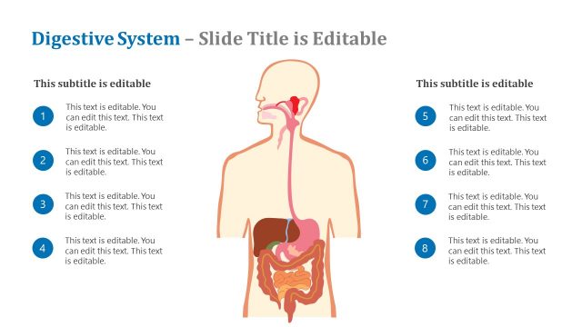 Digestive System Health System PPT