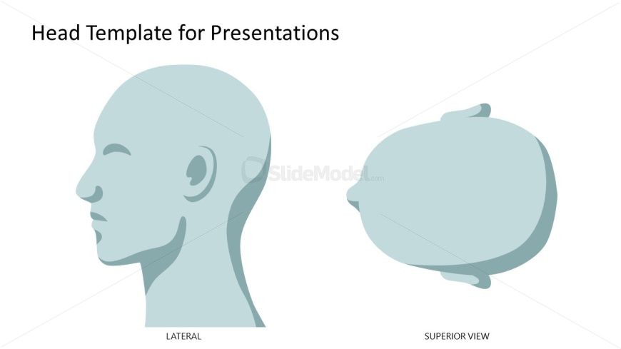 Head Template for PPT Presentations