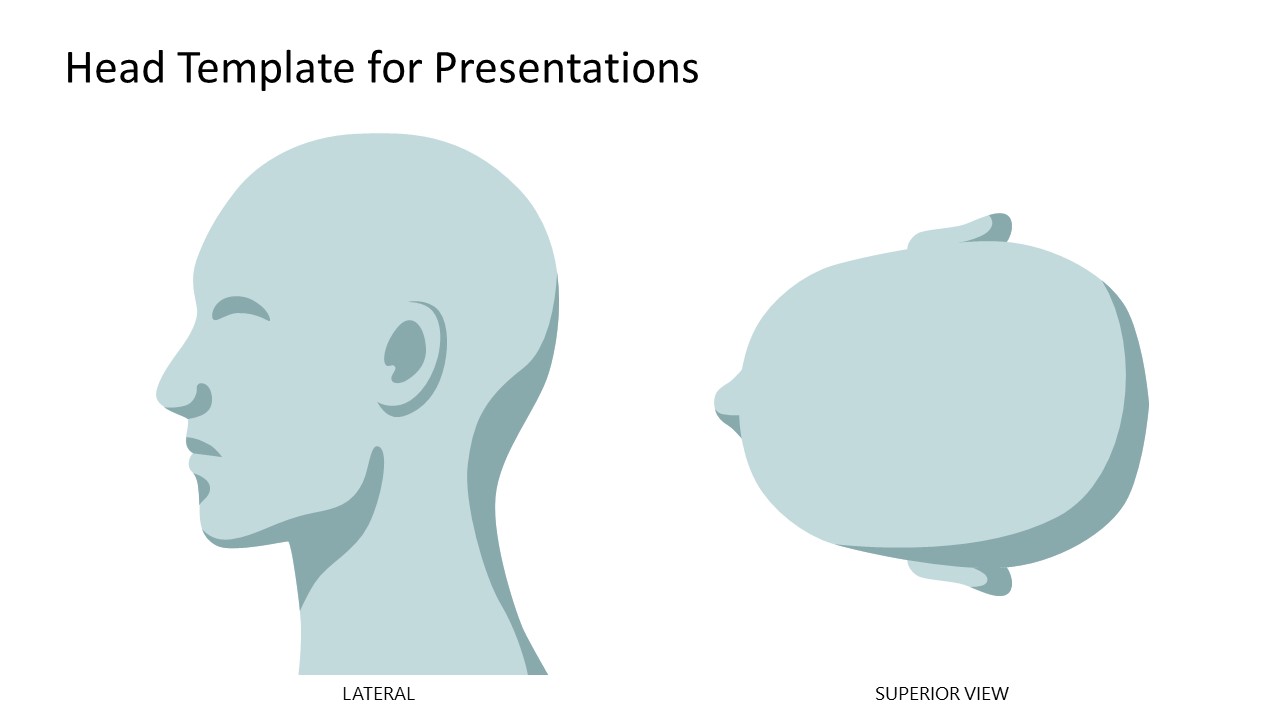 Head Template for PPT Presentations