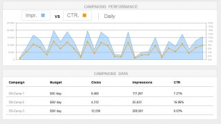 Digital Campaigns Management Key Performance Indicators