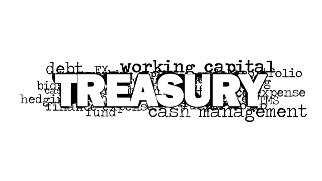 8155-01-treasury-word-cloud-picture-2