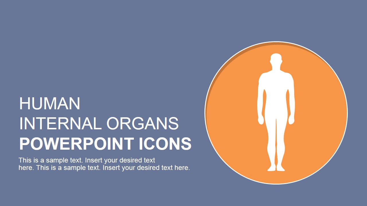 PowerPoint Slide with Human Body Clipart