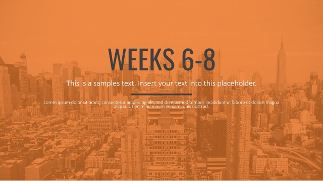 Section Separator of Orange Photo Effect