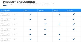Table for Project Execution Checklist 
