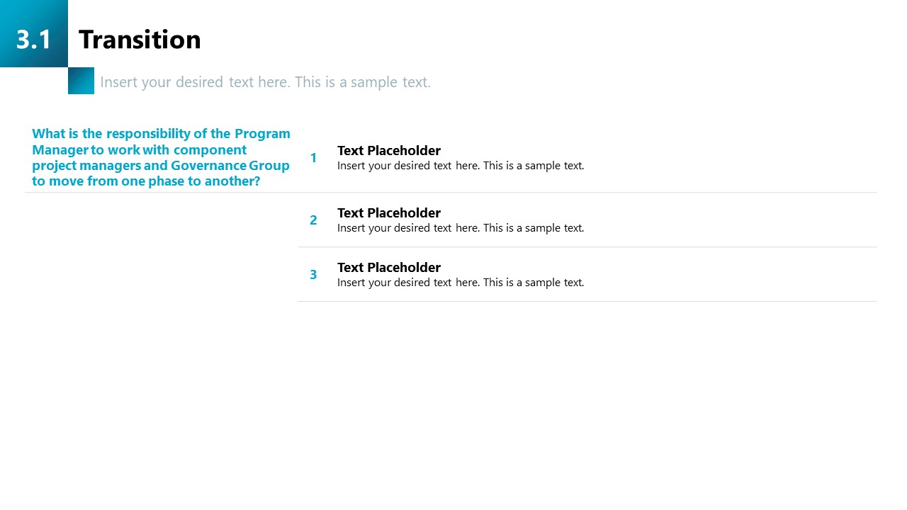 Program Management PowerPoint Template & Slides