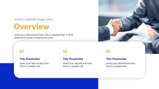 Overview Slide - Investor Report PPT Slide Template