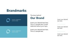 Customizable Brand Identity PPT Template 