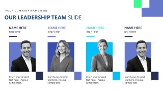 High-Stakes Pitch Deck Slide for Leadership Overview 