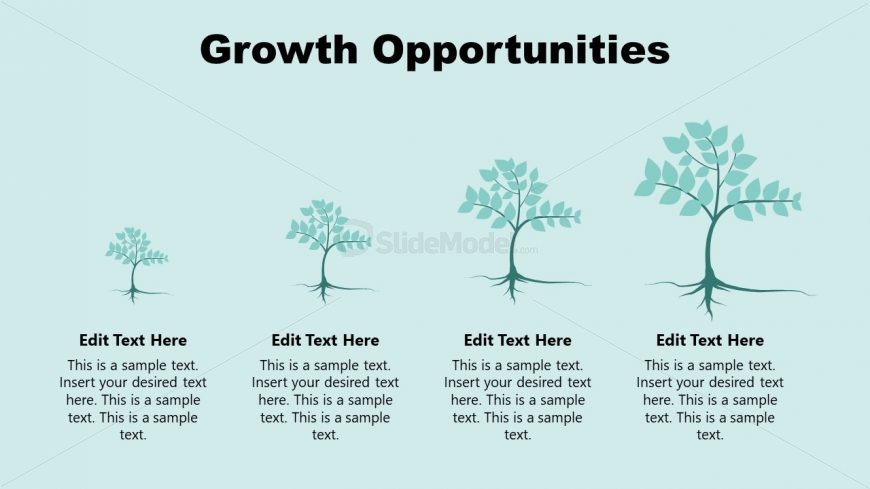 Slide of Growth Opportunities Success Story 