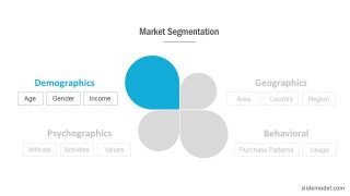 Market Segmentation Demographic PowerPoint