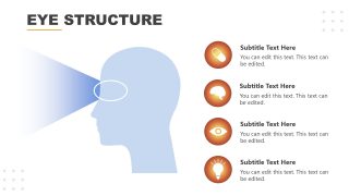 Eye Structure PPT Presentation Slide with Human Head Illustration