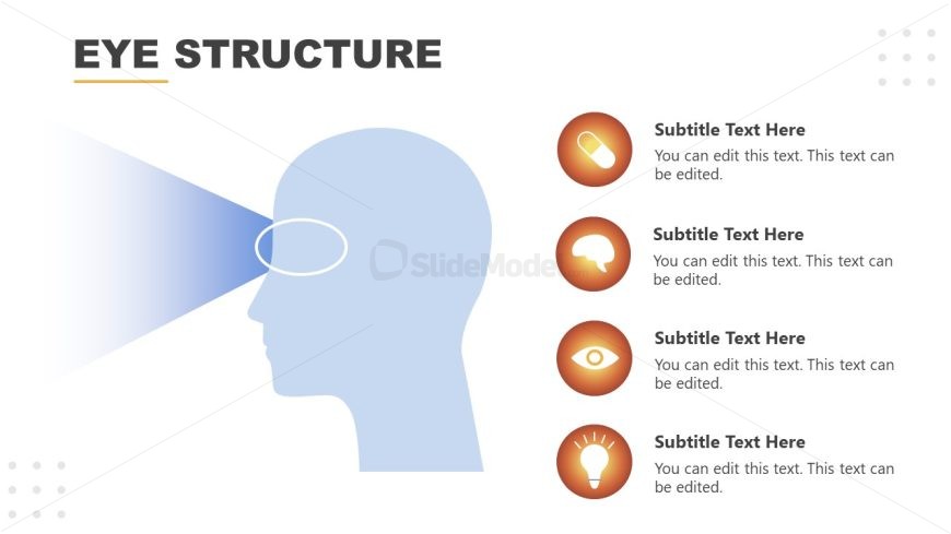 Editable Eye Structure Template for PowerPoint Presentation - SlideModel