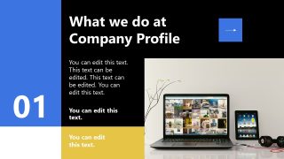 Customizable Company Profile PPT Template 