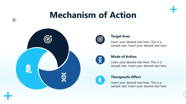 Mechanism of Action Diagram for Presentation