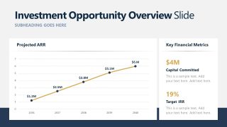 Investment Opportunity Assessment PPT Layout 