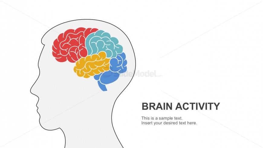 Free Human Brain Vectors PowerPoint Slides 
