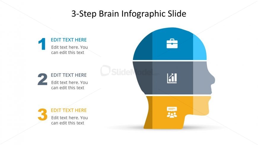 3 Steps Brain Infographic PowerPoint