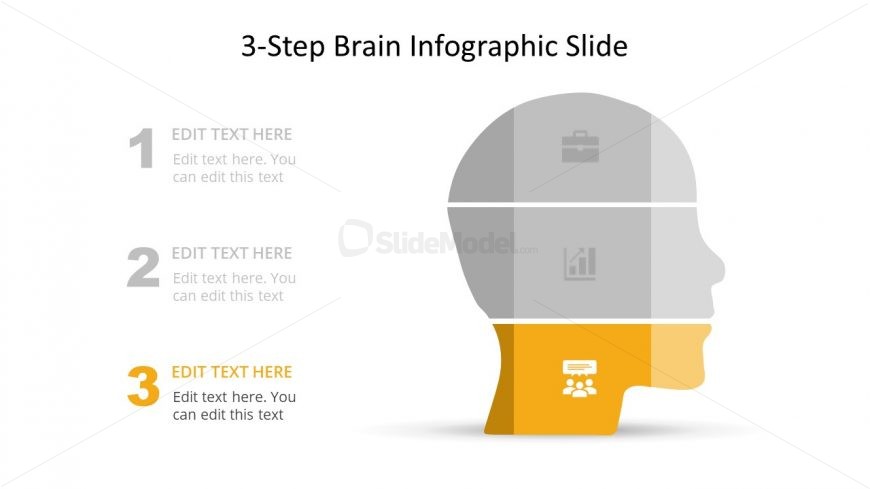 Presentation of Brain Infographics Diagram