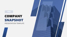Company Snapshot Slide PPT Template