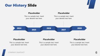 Free PPT Template for Company Snapshot Presentation 