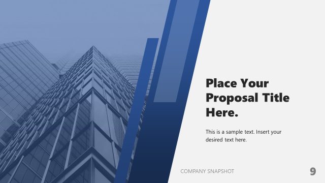 Company Snapshot Slide for PowerPoint