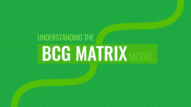 Understanding the BCG Matrix Model
